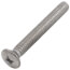 1/4" x 2" Chrome Plated Screw