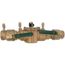 2" 007M1-QT-FZ Double Check Valve Assembly w/ Freeze Sensor Connectivity