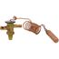 Expansion Valve, T111850040