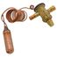 Expansion Valve, T111850040
