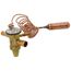 Expansion Valve, T111850040