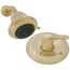 Classic Monitor 13 Series Shower Trim (Polished Brass), T13220-PBSHC