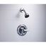 Commercial HDF Monitor 13 Series Shower Trim (Chrome), T13291