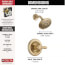 Lahara Monitor 14 Series Shower Trim (Champagne Bronze), T14238-CZ