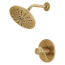 Trinsic TempAssure 17T Series H2Okinetic Shower Trim (Champagne Bronze), T17T259-CZH2O