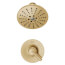 Trinsic TempAssure 17T Series H2Okinetic Shower Trim (Champagne Bronze), T17T259-CZH2O