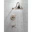 Cassidy TempAssure 17T Series Tub & Shower Trim, 2.50 GPM (Stainless), T17T497-SS