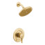 Cia Posi-Temp Shower Only (Brushed Gold), T2262EPBG