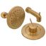 Cia Posi-Temp Tub & Shower Trim Kit (Brushed Gold), T2263EPBG