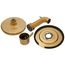 Cia Posi-Temp Tub & Shower Trim Kit (Brushed Gold), T2263EPBG