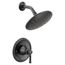 Dartmoor Posi-Temp Shower Only, 1.75 GPM, T2282EPBL (Matte Black)