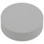 2" DWV Techno Test Plug Cap