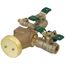 1/2" 800M4-QT-FZ Anti-Siphon Pressure Vacuum Breaker w/ Freeze Sensor Connectivity
