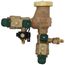 3/4" 800M4-QT-FZ Anti-Siphon Pressure Vacuum Breaker w/ Freeze Sensor Connectivity
