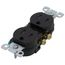 Tamper-Resistant Duplex Receptacle w/ Quickwire Push-In & Side Wire, 2P, 15A, NEMA 5-15R - Brown (125V)