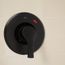 Ash Valve Only Cycling Trim, T58911BL (Matte Black)