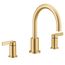 Cia Brushed Gold 2 Handle Roman Tub Faucet, T6223BG
