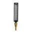 5" 5AS Straight Thermometer with Thermowell (30°F to 300°F & 0°C to 150°C)