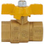3/4" FIP x 3/4" FIP Full-Port Gas Ball Valve