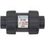 3/4" PVC TC Series True Union Ball Check Valve w/ EPDM O-Ring - Gray (Socket x Threaded)