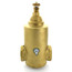 2" Spirotrap Drain Brass Dirt Separator with removable head (Female Thread)
