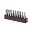 1/4" Clutch and Spanner Security Bit Set with Rail, 9-Piece (1/8-1/4", #4-#10)