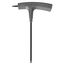 T8 Star T-Handle Key