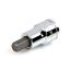 1/2" Drive x 10mm Hex Bit Socket