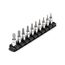 1/4 in Drive Hex Bit Socket Set with Rail, 10-Piece (5/64-5/16 in)