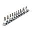 3/8" Drive Torx Bit Socket Set with Rail, 12-Piece (T10-T60)