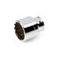 3/4" Drive x 1-5/8" 12-Point Socket