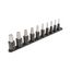 1/2" Drive Hex Impact Bit Socket Set with Rail, 10-Piece (1/4-3/4")