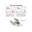 3/8" Drive Crowfoot and Flare Nut Crowfoot Wrench Set, 62-Piece (5/16"- 1-1/16", 8 - 27mm)