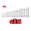 Reversible 12-Point Ratcheting Combination Wrench Set with Pouch, 19-Piece (6-24mm)