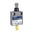 Limit Switch 240VAC 10 Amp MS +Options, 9007MS12S0300