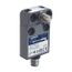 Limit Switch 240VAC 10 Amp MS +Options, 9007MS04S0084