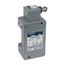 Limit Switch Lever Arm 2IN C, 9007CA4S
