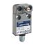 Limit Switch 240VAC 10 Amp MS +Options, 9007MS04S0054