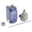Limit Switch, XCKJ10553H7