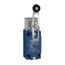 Limit Switch, XCKJ10541D
