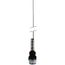 Limit Switch, Cat Whisker, SPDT, Top Screw, M12 Connector, XCMD2106M12