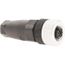 Sensor Cordset, M12 5-Pin Female Straight, 3 Amp, 30 VAC, IP67, XZCC12FDM50B