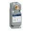 Limit Switch 600V 10 Amp C +Options, 9007C54DP5
