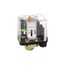 Pressure Switch XMA 12 BAR Adjustable SC, XMAV12L2135