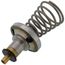 TFBJ 2168 (Class 1) Capsule Steam Trap for Hoffman 1/2" #8 (Integral Seat)