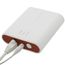 RedLINK Internet Gateway