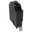 Q-Line THQB Series Single Pole Bolt-On Circuit Breaker (120/240V, 20A)