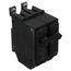 Q-Line THQB Series 2 Pole Bolt-On Circuit Breaker (120/240V, 20A)