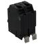 Q-Line THQB Series 2 Pole Bolt-On Circuit Breaker (120/240V, 20A)