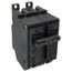 Q-Line THQB Series 2 Pole Bolt-On Circuit Breaker (120/240V, 30A)